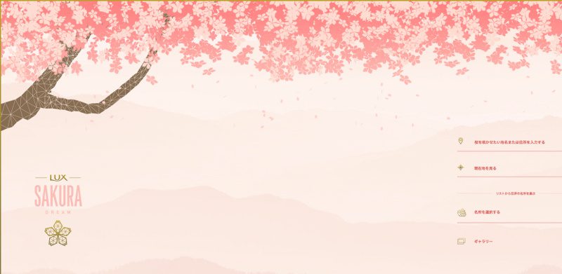 sakura dream
