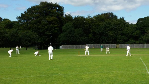 adel cricket club