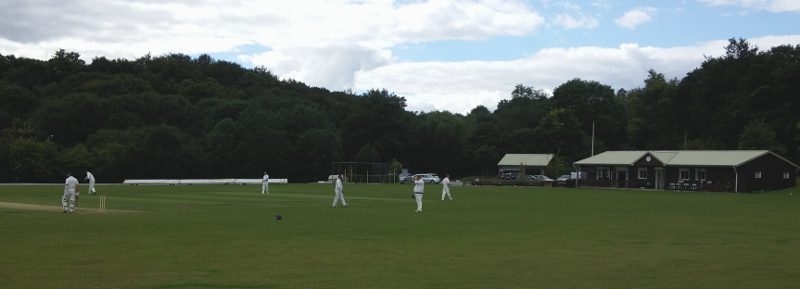 new rover cricket club