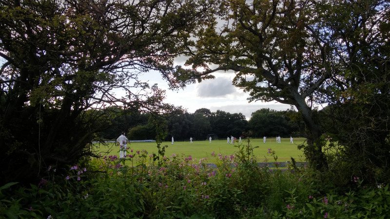 old leos cricket