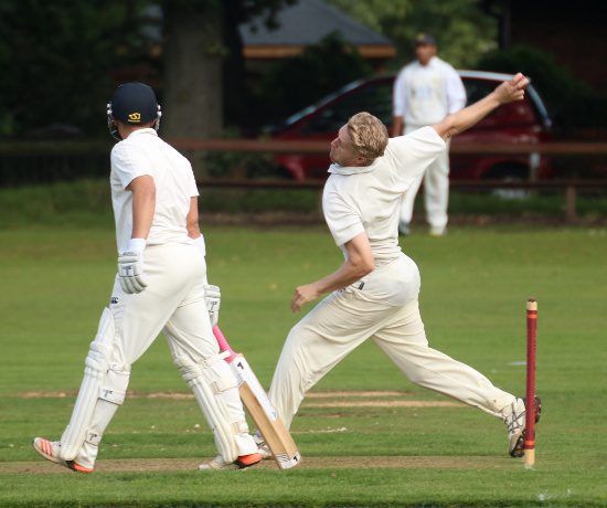 david willey lookalike