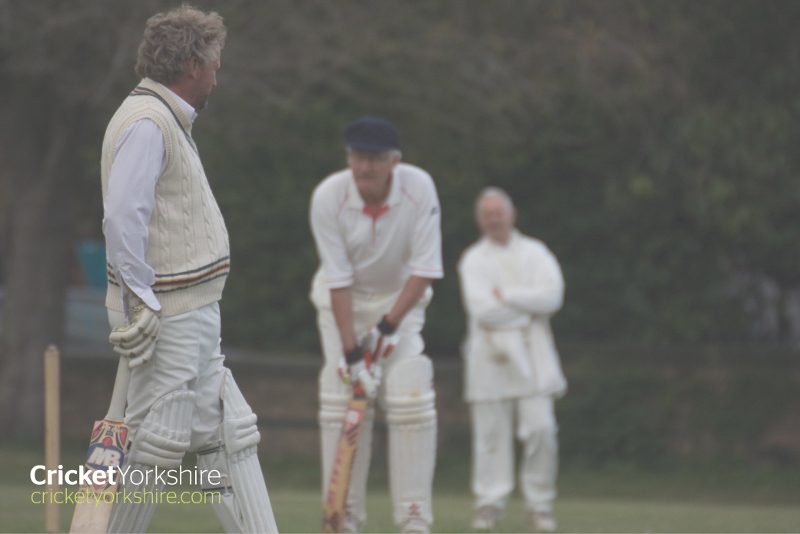 cricket being played in scarborough