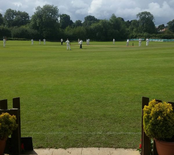 scotton cricket club