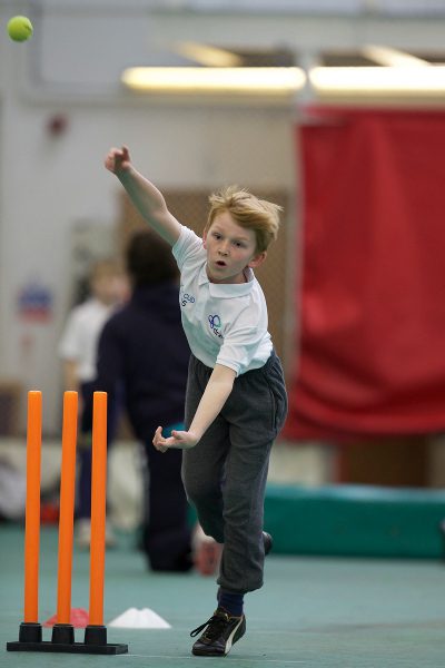 draxcupcricket