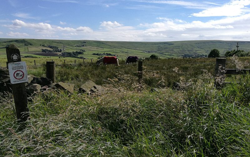 view from stones cricket club