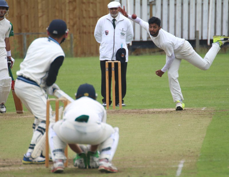 white rose cricket