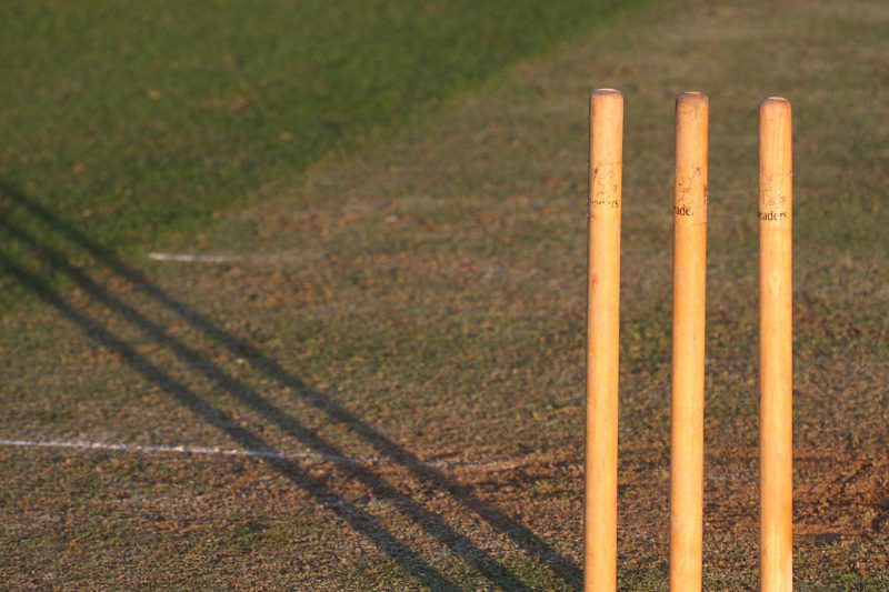 cricket stumps