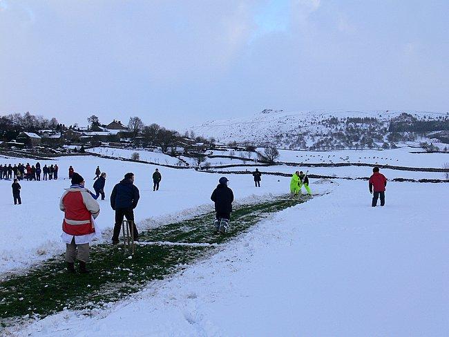 cricket in the snow