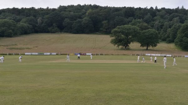 harden cricket club