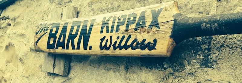 cricket bat willow