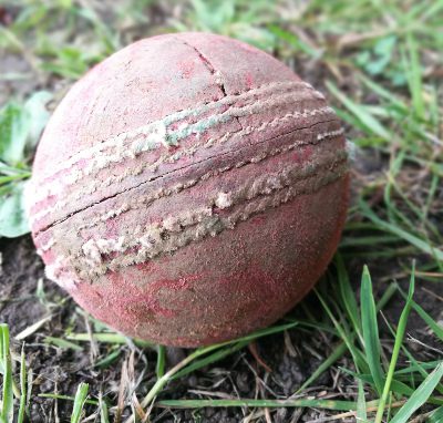 cricket ball