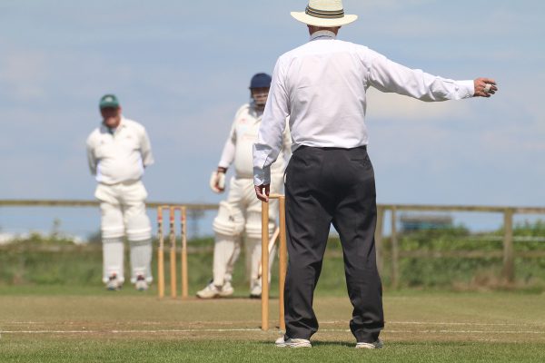 cricket yorkshire survey