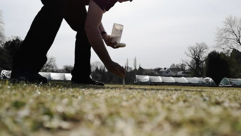 cricket groundsman